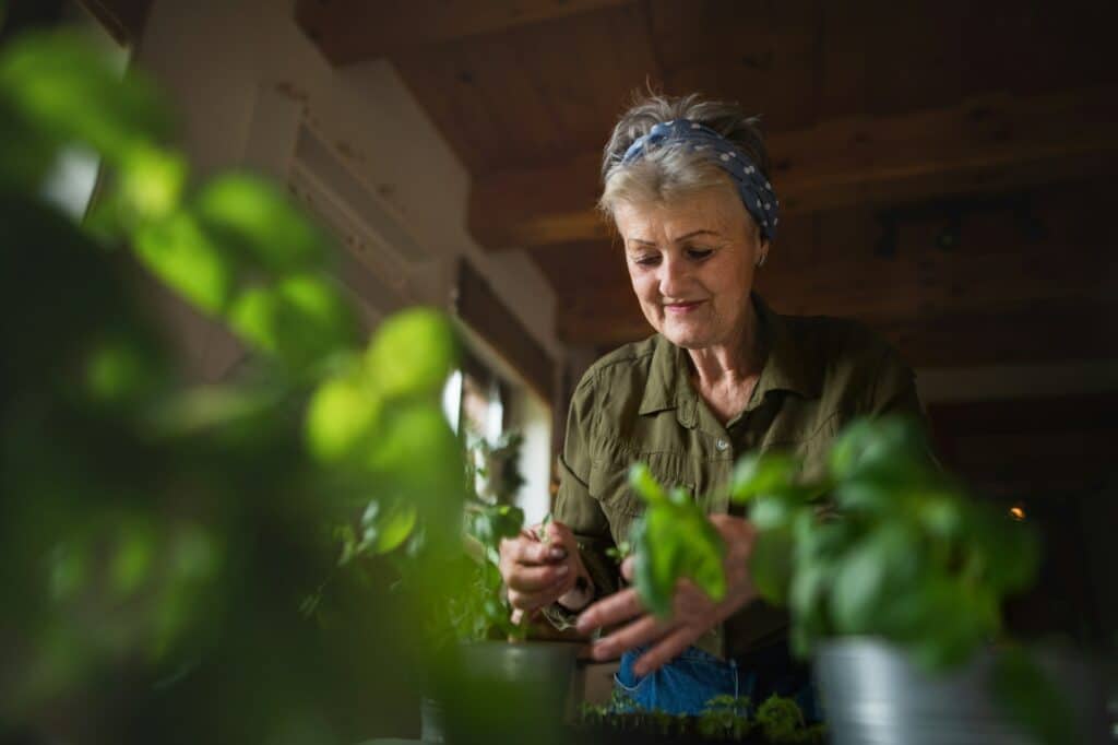 Senior Independent Care